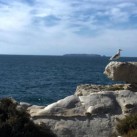 Casa Da Ilha Do Σπίτι διακοπών